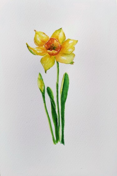 December birth flower Narcisus Pittura intitolato "December birth flow…" da Fineartderya, Opera d'arte originale, Acquarello