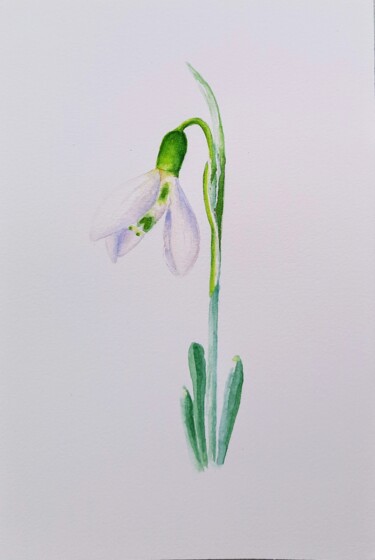 watercolor January birth flower Snowdrop Картина под названием "watercolor January…" - Fineartderya, Подлинное произведение искусства, Акварель