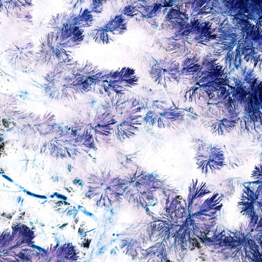 摄影 标题为“negative XCIX” 由Zheka Khalétsky, 原创艺术品, 非操纵摄影