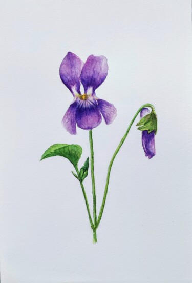 February birth flower Violet Painting titled "February birth flow…" by Fineartderya, Original Artwork, Watercolor