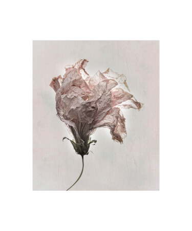 Insaisissable Beauté Photographie intitulée "Insaisissable Beauté" par Frédéric Payet, Œuvre d'art originale, Photographie numérique