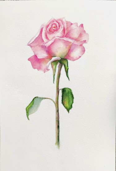Birth Month Rose Flower "Birth Month Rose Fl…" başlıklı Tablo Fineartderya tarafından, Orijinal sanat, Suluboya