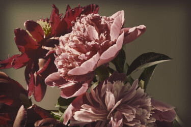 제목이 "Flowerissimo_11556"인 사진 Michael Vdovin로, 원작, 디지털