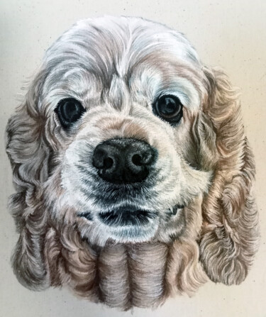 Cocker spaniel. Portrait of a dog Painting titled "Cocker spaniel. Por…" by Antonina Pavlic, Original Artwork, Acrylic