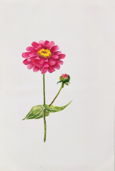 绘画 标题为“watercolor zinnia” 由Fineartderya, 原创艺术品, 水彩