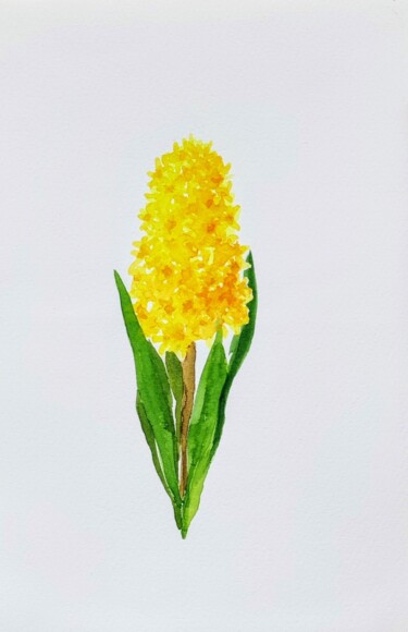 Yellow Hyacinth "Yellow Hyacinth" başlıklı Tablo Fineartderya tarafından, Orijinal sanat, Suluboya