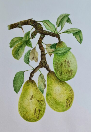 Schilderij getiteld "Tastes of summer -…" door Olga Poruchikova, Origineel Kunstwerk, Aquarel