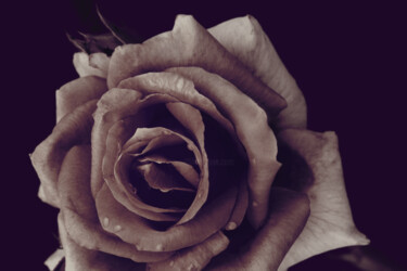 "Flowerissimo_16279" başlıklı Fotoğraf Michael Vdovin tarafından, Orijinal sanat, Dijital Fotoğrafçılık