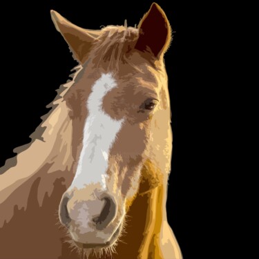 数字艺术 标题为“A horse with a whit…” 由Shamim Shaikh, 原创艺术品, 2D数字工作