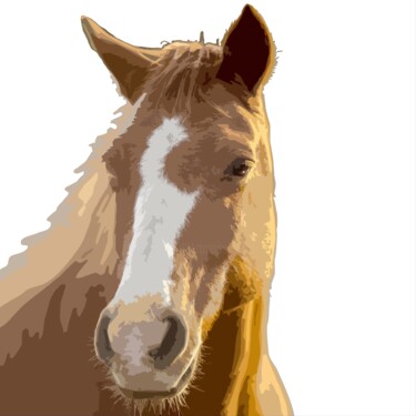 A horse with a white blaze on its face "A horse with a whit…" başlıklı Dijital Sanat Shamim Shaikh tarafından, Orijinal sanat, 2D Dijital Çalışma