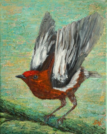Club-winged Manakin. The bird singing with its wings 绘画 标题为“Club-winged Manakin…” 由Galina Vasiljeva, 原创艺术品, 丙烯