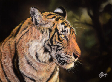 Peinture intitulée "Teddy le Tigre" par Cécile Carrega (Crga Pastel Animalier), Œuvre d'art originale, Pastel