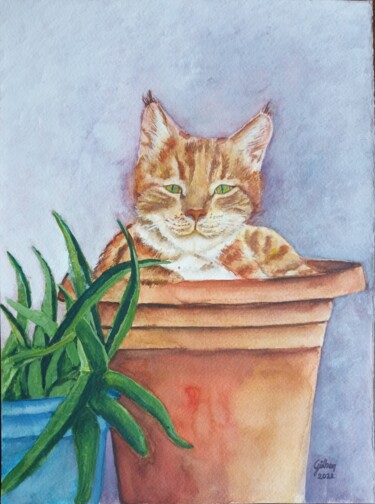 Painting titled "Saksıdaki Kedi Tipi…" by Gülhan Çetin, Original Artwork, Watercolor