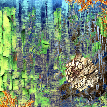 数字艺术 标题为“decaying skin of wo…” 由Ad.Inf, 原创艺术品, 数字拼贴