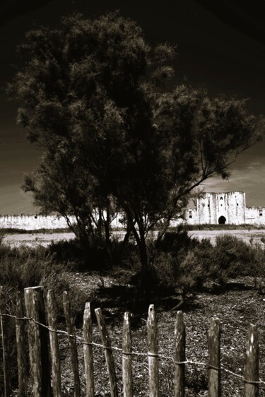 LES REMPARTS D'AIGUES-MORTES FIVE Fotografia zatytułowany „LES REMPARTS D'AIGU…” autorstwa Patrick Hesnard, Oryginalna praca, Fotografia cyfrowa