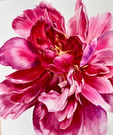 Malerei mit dem Titel "Rose pivoine. Aquar…" von Elena Recondo, Original-Kunstwerk, Aquarell