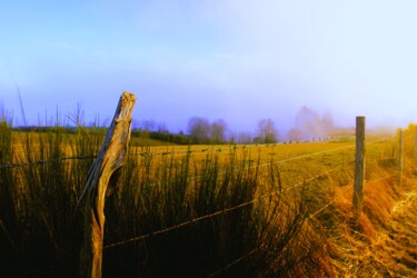 "AUBRAC FIVE" başlıklı Fotoğraf Patrick Hesnard tarafından, Orijinal sanat, Dijital Fotoğrafçılık