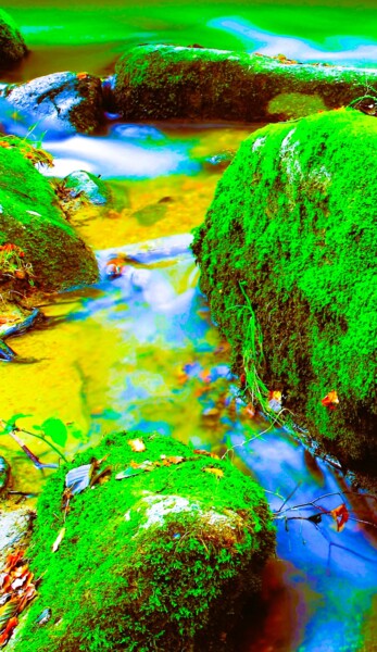 Fotografía titulada "ORGANIC COLOR TWO" por Patrick Hesnard, Obra de arte original, Fotografía digital