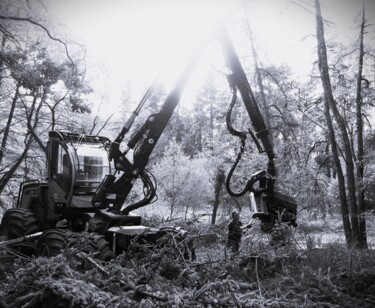 Fotografia intitolato "HARVESTER 2" da Guillaume Mugg, Opera d'arte originale, Fotografia digitale