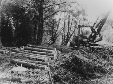 Fotografia intitolato "HARVESTER 3" da Guillaume Mugg, Opera d'arte originale, Fotografia digitale