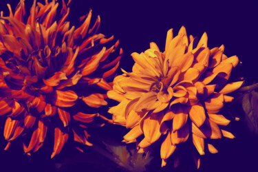 Fotografie getiteld "Flowerissimo_13246" door Michael Vdovin, Origineel Kunstwerk, Digitale fotografie