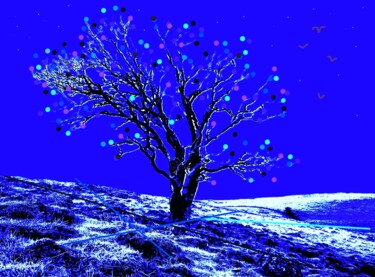 Fotografía titulada "ORGANIC COLOR TWELVE" por Patrick Hesnard, Obra de arte original, Fotografía digital