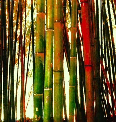 Fotografía titulada "ORGANIC COLOR NATURE" por Patrick Hesnard, Obra de arte original, Fotografía digital
