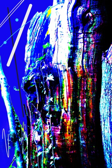 Fotografía titulada "ORGANIC COLOR NINET…" por Patrick Hesnard, Obra de arte original, Fotografía digital