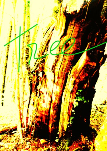 Fotografía titulada "ORGANIC COLOR TWENT…" por Patrick Hesnard, Obra de arte original, Fotografía digital