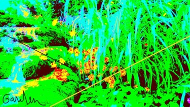 Fotografía titulada "ORGANIC COLOR TWENT…" por Patrick Hesnard, Obra de arte original, Fotografía digital