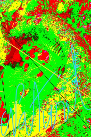Fotografía titulada "ORGANIC COLOR TWENT…" por Patrick Hesnard, Obra de arte original, Fotografía digital