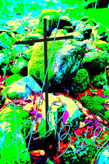 Fotografía titulada "ORGANIC COLOR TWENT…" por Patrick Hesnard, Obra de arte original, Fotografía digital