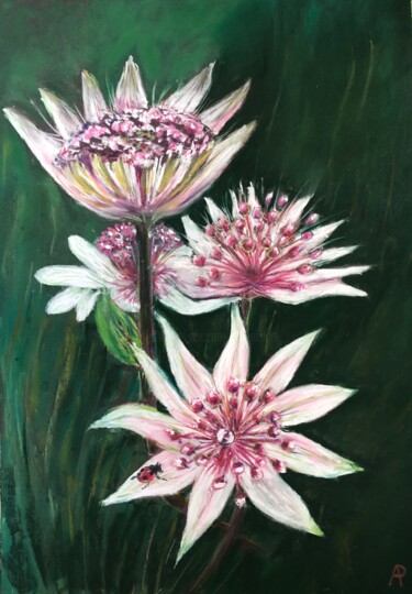 "Fleur de montagne:…" başlıklı Resim Philippe Allier tarafından, Orijinal sanat, Pastel