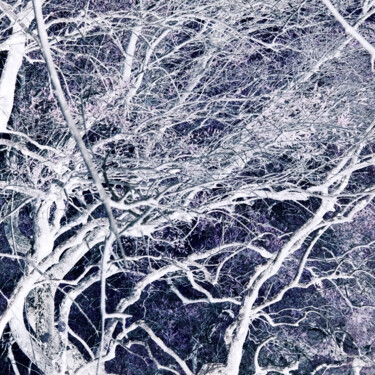 Photography titled "CLIV" by Zheka Khalétsky, Original Artwork, Non Manipulated Photography