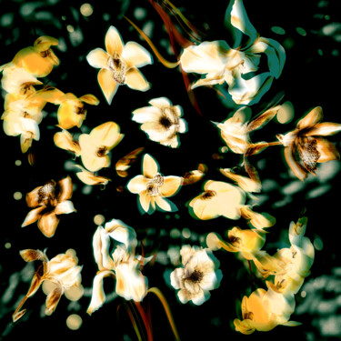 数字艺术 标题为“Night flowers” 由Larisa Siverina, 原创艺术品, 2D数字工作