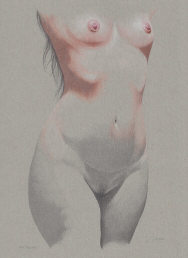 图画 标题为“"Torso 3009 (23.43)"” 由Walter Roos, 原创艺术品, 铅笔