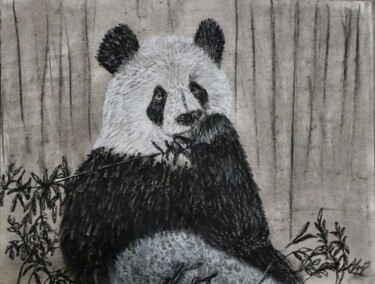 Drawing titled "Pana friend" by Alicia Lopez, Original Artwork, Charcoal