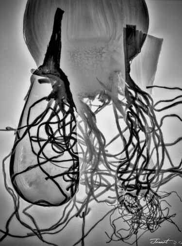 Racines du Silence Photography titled "Racines du Silence" by Mohamed Jannat, Original Artwork, Digital Photography