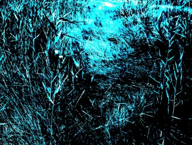 Fotografía titulada "ORGANIC COLOR THIRT…" por Patrick Hesnard, Obra de arte original, Fotografía digital