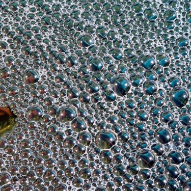 Le bain de l'huître 8 Fotografia intitolato "Le bain de l'huître…" da Sylvie Chapuis, Opera d'arte originale, Fotografia non manipolata