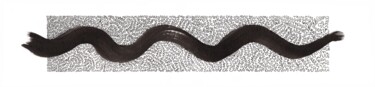 Disegno intitolato "Abstract snake ink" da Zueyen, Opera d'arte originale, Inchiostro