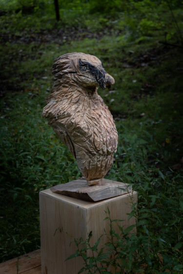 Sculpture titled "Tête de Gypaète Bar…" by Vincent Sevrain, Original Artwork, Wood