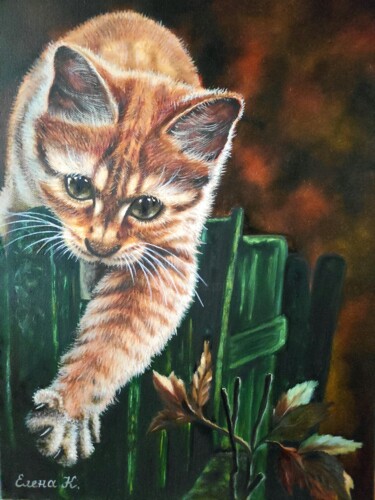Red cat on the fence 2 "Red cat on the fenc…" başlıklı Tablo Elena Kozyutenko tarafından, Orijinal sanat, Petrol Ahşap Sedye çerçevesi üzerine mont…