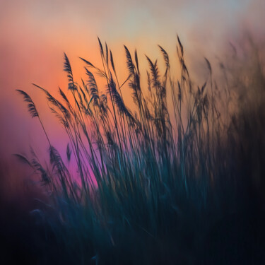 Digital Arts titled "Evening palette" by Olga Poruchikova, Original Artwork, AI generated image