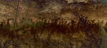 darkness falls 摄影 标题为“darkness falls” 由Friedrich Ursprung, 原创艺术品, 数码摄影