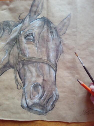 「Horse」というタイトルの描画 Boba Miljkovićによって, オリジナルのアートワーク, 鉛筆