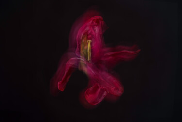 "Last dance of a fad…" başlıklı Fotoğraf Gijs Possel tarafından, Orijinal sanat, Dijital Fotoğrafçılık