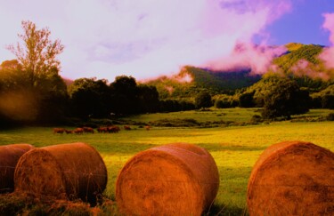 Photography titled "UN DIMANCHE A LA CA…" by Patrick Hesnard, Original Artwork, Digital Photography