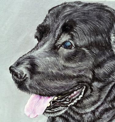 Portrait of a black dog Painting titled "Portrait of a black…" by Antonina Pavlic, Original Artwork, Acrylic
