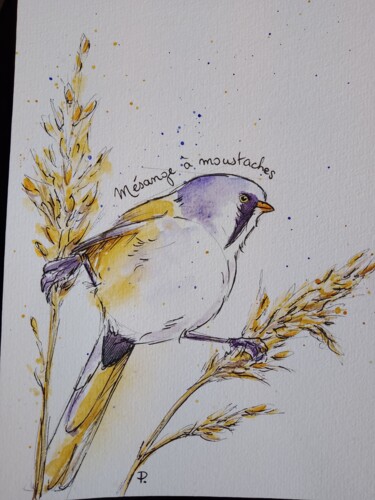 Painting titled "Mésange à moustaches" by Fred P., Original Artwork, Watercolor